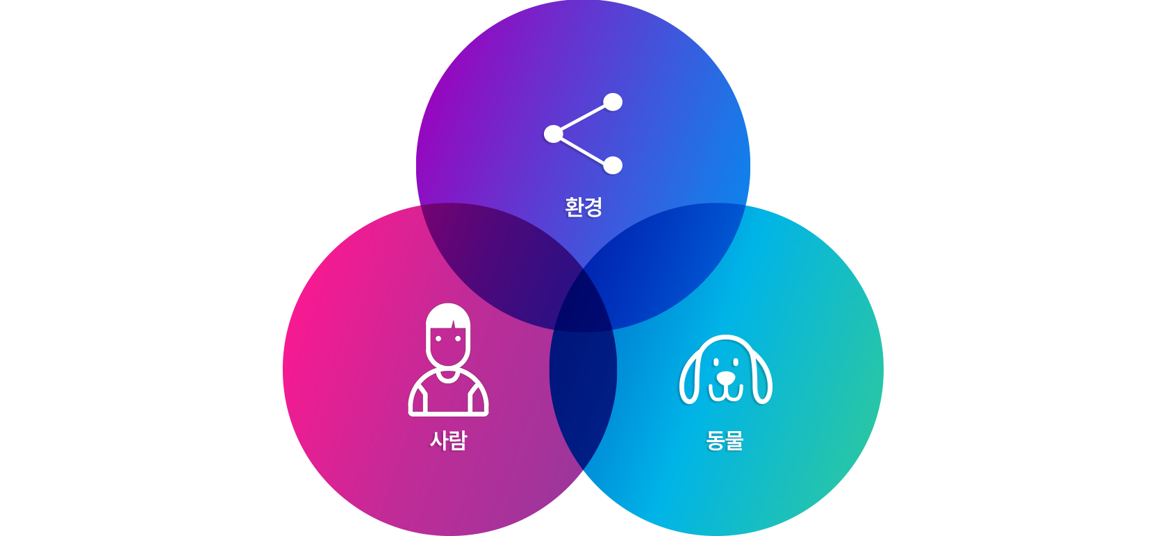 도그몬드
